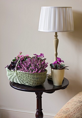 DESIGNER_CLARE_MATTHEWS__HOUSEPLANT_PROJECT__WICKER_BASKET_AND_CREAM_CONTAINER_PLANTED_WITH_PINK_FLO