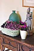 DESIGNER CLARE MATTHEWS - HOUSEPLANT PROJECT - WICKER BASKET AND CREAM CONTAINER PLANTED WITH PINK FLOWERING HEATHER  AFRICAN VIOLETS  FLAMING KATY - KALANCHOE BLOSSFELDIANA
