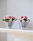 DESIGNER CLARE MATTHEWS - HOUSEPLANT PROJECT - PALE PINK GLASS CONTAINERS PLANTED WITH PINK PRIMULAS ON MANTELPIECE