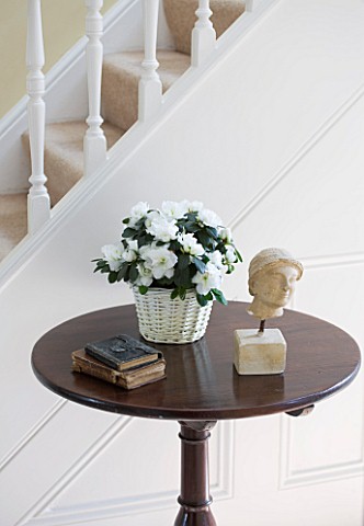 DESIGNER_CLARE_MATTHEWS__HOUSEPLANT_PROJECT__WHITE_AZALEA_IN_A_WICKER_CONTAINER_ON_A_TABLE_IN_HALLWA