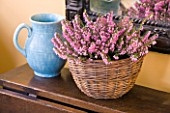 DESIGNER CLARE MATTHEWS - HOUSEPLANT PROJECT - BLUE JUG AND WICKER CONTAINER PLANTED WITH PINK FLOWERING HEATHER ON SIDEBOARD