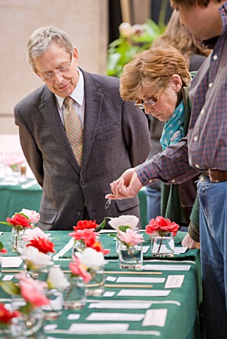 JUDGES_LOOKING_AT_CAMELLIAS_AT_THE_RHS_CAMELLIA_SHOW_IN_VINCENT_SQUARE__LONDON