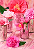 CAMELLIAS IN JARS - BACK TO FRONT - CAMELLIA FRANCIE  DEBBIE (ON CLOTH ALSO)  ST EWE  MME LE BOIS  ANN SOUTHERN.  - STYLING BY JACKY HOBBS