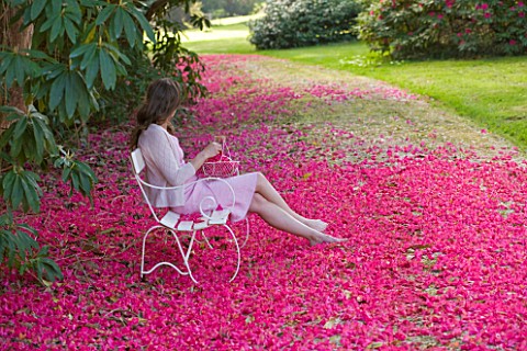 TREGOTHNAN__CORNWALL_GIRL_SITTING_ON_WHITE_BENCH_WITH_FALLEN_FLOWERS_OF_RHODODENDRON_RUSSELLIANUM