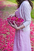 TREGOTHNAN  CORNWALL: GIRL WITH TRUG FILLED WITH FLOWERS OF RHODODENDRON RUSSELLIANUM