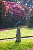 TREGOTHNAN  CORNWALL: EAGLE SCULPTURE WITH RHODODENDRON RUSSELLIANUM BEHIND