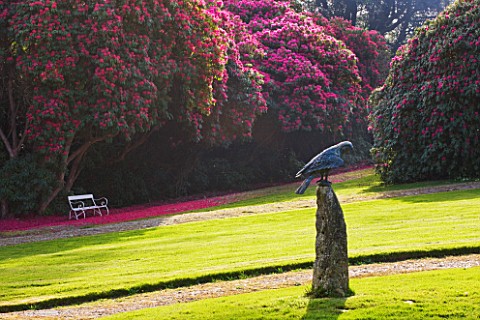 TREGOTHNAN__CORNWALL_EAGLE_SCULPTURE_WITH_RHODODENDRON_RUSSELLIANUM_BEHIND
