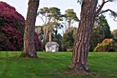 TREGOTHNAN  CORNWALL:  THE SUMMERHOUSE FRAMED BY STONE PINES - PINUS PINEA