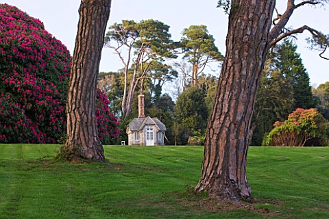 TREGOTHNAN__CORNWALL__THE_SUMMERHOUSE_FRAMED_BY_STONE_PINES__PINUS_PINEA