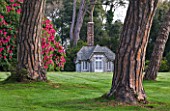TREGOTHNAN  CORNWALL:  THE SUMMERHOUSE FRAMED BY STONE PINES - PINUS PINEA