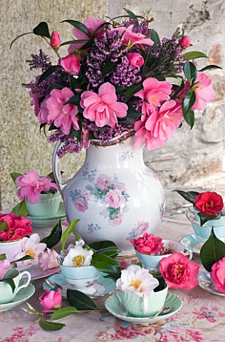 TREGOTHNAN__CORNWALL_CAMELLIAS_IN_VINTAGE_TEA_CUPS__STYLING_BY_JACKY_HOBBS__HEATHER_AND_CAMELLIA_INS