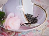 TREGOTHNAN  CORNWALL: TREGOTHNAN TEA IN VINTAGE TEA CUP AND SAUCER