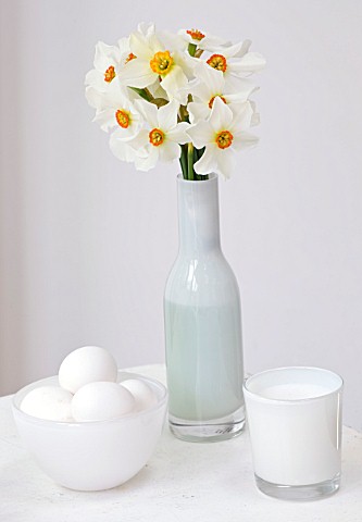 NARCISSUS_ACTAEA_IN_WHITE_GLASS_ON_WHITE_TABLE__STYLING_BY_JACKY_HOBBS