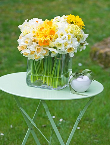 NARCISSUS_IN_A_GLASS_BOWL_ON_TABLE_OUTSIDE__STYLING_BY_JACKY_HOBBS
