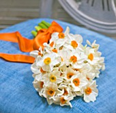 NARCISSUS GERANIUM ON CHAIR - STYLING BY JACKY HOBBS