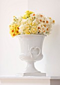 WHITE VASE FILLED WITH NARCISSUS ON MANTELPIECE - STYLING BY JACKY HOBBS