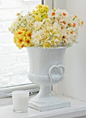 WHITE VASE FILLED WITH NARCISSUS ON WINDOWSILL - STYLING BY JACKY HOBBS