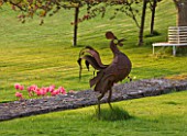 CERNEY HOUSE GARDEN  GLOUCESTERSHIRE: METAL COCKEREL ON THE LAWN WITH PINK TULIPS BEHIND