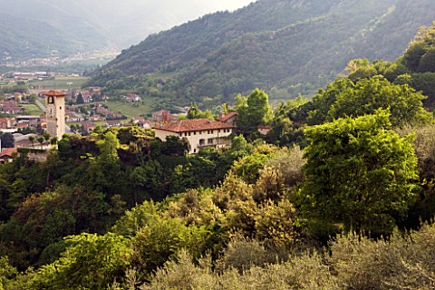 GARDEN_OF_PAOLO_PEJRONE__ITALY_VIEW_OF_THE_GARDEN_AND_HOUSE_WITH_MOUNTAINS_BEHIND