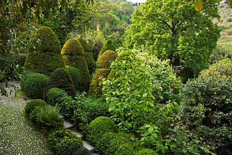 GARDEN_OF_PAOLO_PEJRONE__ITALY_CLIPPED_TOPIARY_SHAPES_VIEWED_FROM_THE_HOUSE