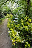 GARDEN OF PAOLO PEJRONE  ITALY: WHITE PLANTING - WHITE BENCH WITH CHOISYA TERNATA SUNDANCE