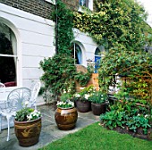 TERRACE IN FRONT OF HOUSE WITH CONTAINERS. MALVERN TERRACE  LONDON