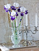 IRIS CAYEUX  FRANCE - VASE OF NEW BEARDED IRIS WHITE AND PURPLE FROUFROUTANT WITH SPOON IN RICHARD CAYEUXS HOME