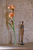 IRIS CAYEUX  FRANCE - NEW TERRACOTTA COLOURED BEARDED IRIS MA POMME IN VASE IN RICHARD CAYEUXS HOME