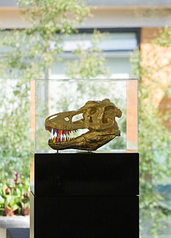 CAKE_BOY_HOUSE__LONDON_PERSPEX_AND_GUILDED_SKULL__KNOWN_AS_FRED__ON_PLINTH_IN_LIVING_ROOM__FROM_THE_