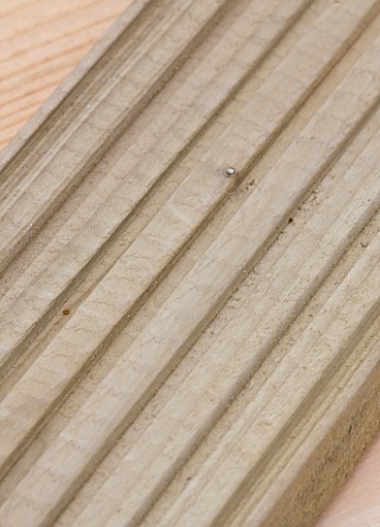 DESIGNER_CLARE_MATTHEWS__DECKING_PROJECT__CLOSE_UP_OF_A_DECK_BOARD_SHOWING_GROOVES