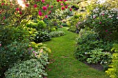 ANDRE EVE GARDEN  FRANCE - GRASS PATH SURROUNDED BY ROSA CERISE BOUQUET AND ROSA SOURIRE DORCHIDEE