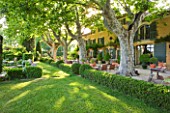 LES CONFINES  PROVENCE  FRANCE - DESIGNER: DOMINIQUE LAFOURCADE - THE HOUSE WITH PLANE TREES  TABLE AND CHAIRS ON GRAVEL TERRACE AND HEDGING