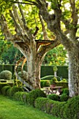 LES CONFINES  PROVENCE  FRANCE - DESIGNER: DOMINIQUE LAFOURCADE: THE GRAVEL TERRACE BESIDE THE HOUSE WITH PLANE TREES AND A TIMBER AND IRONWORK STAIRWAY TO VIEWING PLATFORM