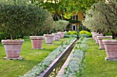 LES CONFINES  PROVENCE  FRANCE - DESIGNER: DOMINIQUE LAFOURCADE - VIEW BACK TO THE HOUSE - RILL SURROUNDED BY STACHYS LANATA AND TERRACOTTA CONTAINERS PLANTED WITH OLIVE TREES
