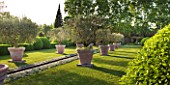 LES CONFINES  PROVENCE  FRANCE - DESIGNER: DOMINIQUE LAFOURCADE - RILL SURROUNDED BY STACHYS LANATA AND TERRACOTTA CONTAINERS PLANTED WITH OLIVE TREES