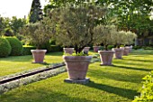 LES CONFINES  PROVENCE  FRANCE - DESIGNER: DOMINIQUE LAFOURCADE - RILL SURROUNDED BY STACHYS LANATA AND TERRACOTTA CONTAINERS PLANTED WITH OLIVE TREES
