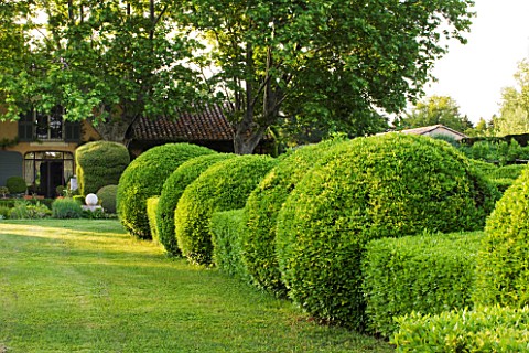 LES_CONFINES__PROVENCE__FRANCE__DESIGNER_DOMINIQUE_LAFOURCADE__CLIPPED_HEDGES_IN_FRONT_OF_THE_HOUSE