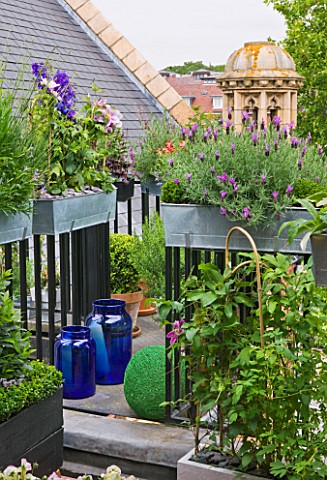 THE_BALCONY_GARDENER__ISABELLE_PALMER__BALCONY_FILLED_WITH_WINDOW_BOXES_AND_CUPOLA_BEYOND