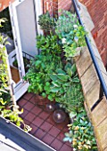 THE BALCONY GARDENER - ISABELLE PALMER - SMALL BALCONY WITH CONTAINERS PLANTED WITH HOSTAS AND HELLEBORES