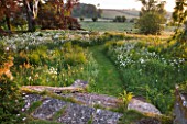 ASTHALL MANOR  OXFORDSHIRE: STEPS AND A PATH THROUGH THE PERENNIAL WILDFLOWER MEADOW AT DAWN WITH OXE-EYE DAISIES