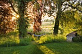 ASTHALL MANOR  OXFORDSHIRE: HAMMOCK IN THE PERENNIAL WILDFLOWER MEADOW
