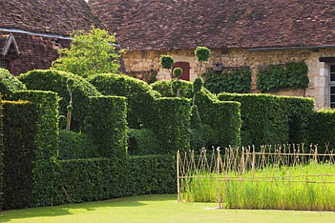 PRIEURE_NOTREDAME_DORSAN__FRANCE_CLIPPED_HORNBEAM_HEDGES_AND_SQUARE_OF_WHEAT