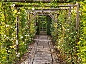 PRIEURE NOTRE-DAME DORSAN  FRANCE: WOODEN PERGOLA AND PATH WITH WHITE ROSES