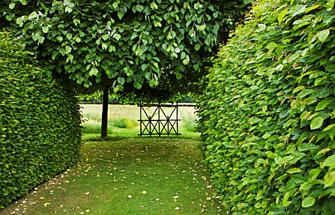 PRIEURE_NOTREDAME_DORSAN__FRANCE_THE_FLOWERED_MEADOW__HORNBEAM_HEDGE_AND_OAK_TREES_AROUND_THE_OUTSID