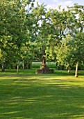 PRIEURE NOTRE-DAME DORSAN  FRANCE: THE ORCHARD OF APPLE TREES WITH TREE SEAT AND MEADOW BEYOND