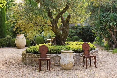 DESIGNER_MICHEL_SEMINI__PROVENCE__FRANCE_MAS_THEO__OLIVE_TREE_WITH_LOW_STONE_WALL_IN_GRAVEL_COURTYAR