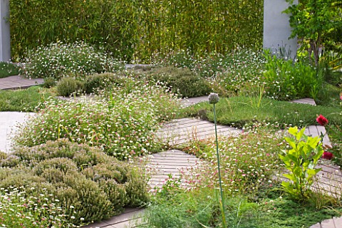 DESIGNER_DOMINIQUE_LAFOURCADE__PROVENCE__FRANCE_PLANTING_OF_AROMATICS_BESIDE_THE_SWIMMING_POOL