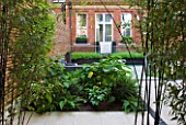 DESIGNER CHARLOTTE ROWE LONDON: SMALL, TOWN, CITY, FORMAL, CONTEMPORARY, GARDEN, PAVING, TERRACE, PATIO, SEATS, BENCHES, FENCES, FENCING, SCREENS, WOODEN, BAMBOO, BLACK