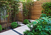 DESIGNER CHARLOTTE ROWE LONDON: SMALL, TOWN, CITY, FORMAL, CONTEMPORARY, GARDEN, PAVING, TERRACE, PATIO, FENCES, FENCING, SCREENS, WOODEN, BAMBOO, BLACK