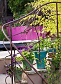 BARBARA KENNINGTON GARDEN  BRIGHTON: VIEW ACROSS RUSTED IRON RAILINGS TO POOL AND PINK  RENDERED WALL WITH WATERFALL
